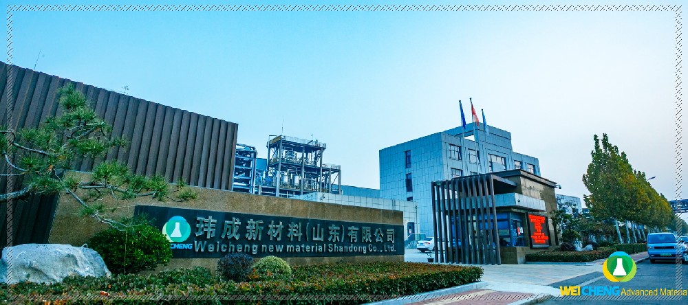 玮成风采