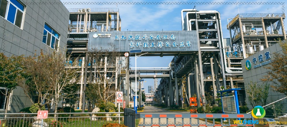 玮成风采