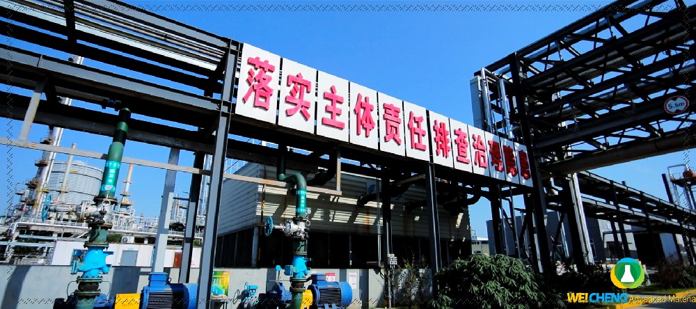 玮成风采